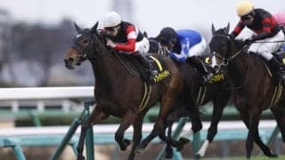 【アネモネS】トワイライトシティがデビュー2連勝…横山武は本日の4勝目