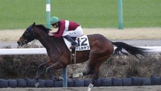 【中山7R】断然人気イムホテプがデビュー2連勝