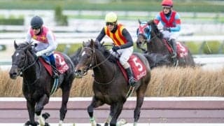 五十嵐雄祐騎手 障害重賞全6場制覇達成