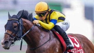 【今日の注目ポイント】大阪杯前哨戦の金鯱賞と皐月賞TRスプリングS