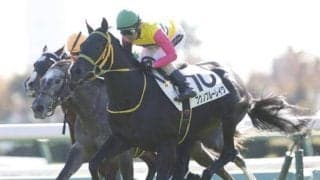 【スプリングS予想】皐月賞への3枚の直行切符を手にする馬は？ 器用さと立ち回りのうまさが勝負のカギ