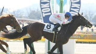 【競馬予想】スプリングＳ、過去データに従えば人気２頭は消し!?　好配当を演出する穴馬候補は？