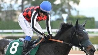 【金鯱賞予想】今年も狙う5つのキーワード 過去データから探るGII金鯱賞