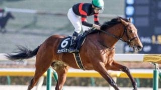 中京芝はパワー要する馬場 金鯱賞は先行馬2頭でいったいったの決着も