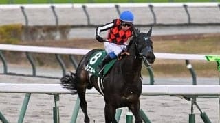 【金鯱賞・馬体重】デシエルトは536kg(+4)、ホウオウビスケッツは504kg(-2)