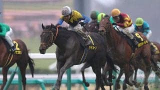 【東風S】ディープ産駒 サイルーンが力強く差し切る