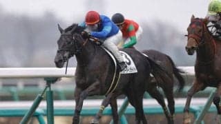 【中山6R】外国産ソーダーンライトが2勝目をマーク