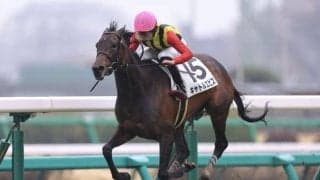 【中山5R】キャトルエピスが大差圧勝