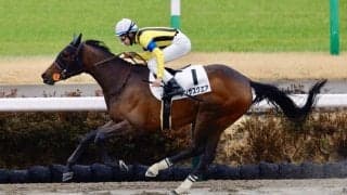 【中山4R】オンザスクエアが人気に応える