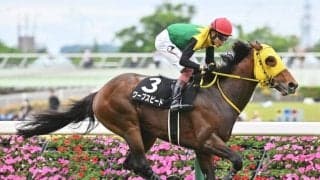 阪神大賞典、フラワーCなど4重賞/今週の競馬界の見どころ