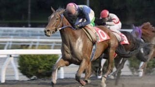 【高知・八畳岩特別】4角で4頭が落馬の波乱…レースはフクチャンキングがV