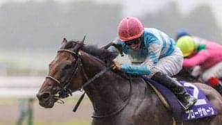 【阪神大賞典登録馬】ブローザホーンなど11頭