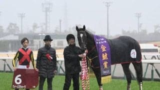 【金鯱賞】売上は56億7251万5200円で昨年より約6億円減少