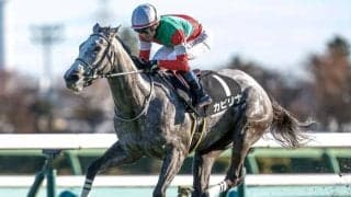 【愛知杯見どころ】カピリナが重賞2戦目での勝利を狙う
