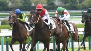 【阪神大賞典見どころ】成長著しいショウナンラプンタが初重賞奪取だ