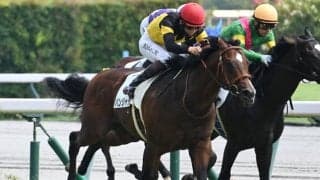 【ファルコンS見どころ】距離短縮で巻き返すパンジャタワー