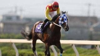 【25年の新種牡馬たち】TUBE前田亘輝氏の愛馬ノブワイルド 産駒にはサクラハゴロモ×アンバーシャダイの全きょうだいクロス持つ馬も