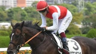 【阪神大賞典想定騎手】ショウナンラプンタは武豊騎手、ブローザホーンは菅原明良騎手