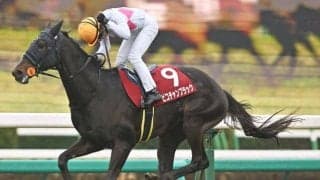 ピコチャンブラックがスプリングS親仔3代制覇達成 大物キタサンブラック産駒に共通する血統構成とは