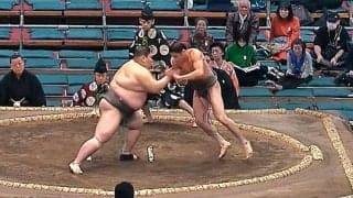 イケメン“細マッチョ”力士に館内どよめき 体重“2倍超”の巨漢をぶん投げる