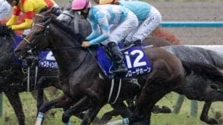阪神大賞典8年ぶりのGI馬Vなるか 宝塚記念覇者が参戦