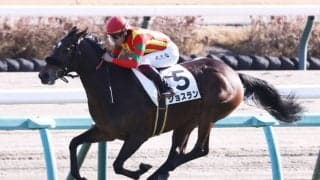 【フラワーC登録馬】良血ジョスランなど18頭