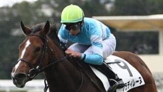 【フラワーC展望】パラディレーヌの3連勝が濃厚