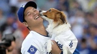 デコピンが「寂しそう」　大谷翔平を“待ち詫びる”姿にファン反応「お留守番えらい」