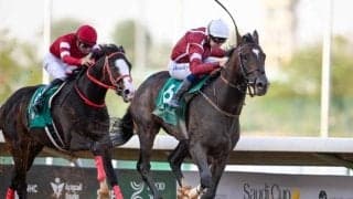 今年アメリカで注目の種牡馬は？ 重賞馬を多数送り出す1頭に注目