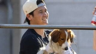 “お留守番”のデコピンが眠そうにウトウト…「いつ見ても癒される」「寝顔かわいい〜」「トリミングしてもらったのかな」