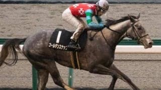 史上初の阪神大賞典の牝馬Vなるか ゴールドシップ産駒が親仔制覇狙う