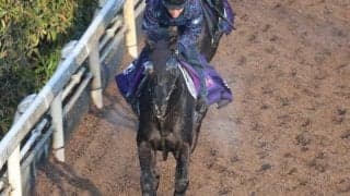 クロワデュノールなど、先週の入厩情報/栗東トレセンニュース