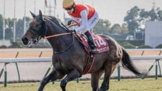 【阪神大賞典予想オッズ】ショウナンラプンタが予想1番人気