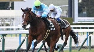 【フラワーC予想オッズ】パラディレーヌが予想1番人気