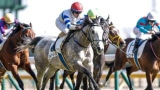【ファルコンS予想オッズ】シルバーレインが予想1番人気