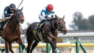 【ファルコンS展望】好走条件揃ったクラスペディアの連勝を期待