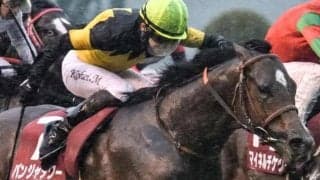 GI馬も超えられなかった意外なデータ 重賞馬2頭がファルコンSの史上初に挑む