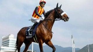 【大阪杯想定】ステレンボッシュ、シックスペンスなど16頭