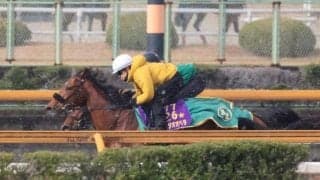 ベラジオオペラなど、大阪杯2週前追い切り速報/栗東トレセンニュース