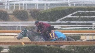 マッドクール、高松宮記念1週前追い切り速報/栗東トレセンニュース