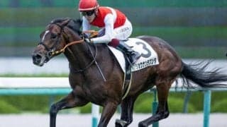 【阪神大賞典予想】距離適性より臨戦過程が重要？ AIも推奨した中心視したい一頭とは