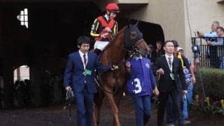 ジオグリフ、ローシャムパークがオーストラリア到着…ザ・チャンピオンシップス出走