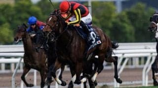 【香港チャンピオンズデー】リバティアイランドなど日本馬の登録