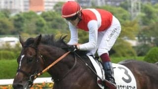 【阪神大賞典展望】ショウナンラプンタがここをステップに飛躍を期す