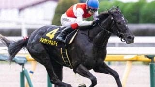 ショウナンパンドラの仔が重賞初制覇へ 母の背も知る池添騎手とフラワーCに参戦