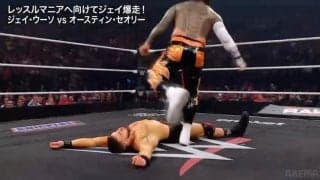 何が起きた？ 実力者同士の対決が“即決着”…「入場5分、試合30秒」奇妙な秒殺KO劇に実況席も呆然「もう終わり？」