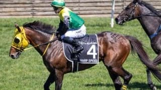 昨年海外G1でハナ差2着 屈指のステイヤーが阪神大賞典で重賞初V狙う