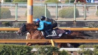 アルテヴェローチェ、チャーチルダウンズC2週前追い切り速報/栗東トレセンニュース