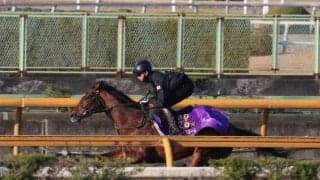 アドマイヤズーム、ニュージーランドT3週前追い切り速報/栗東トレセンニュース