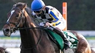 GI2着馬がクラシックへ始動 若葉Sで惜敗続きにピリオドなるか